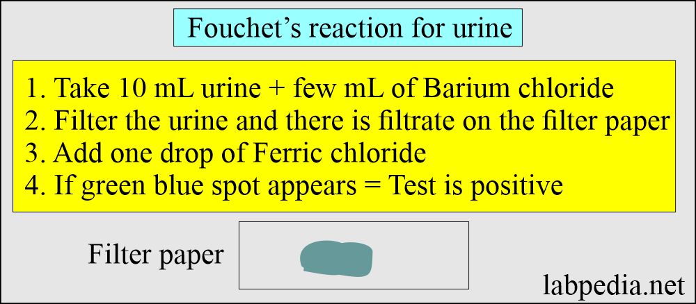 Procedure for Fouchet's reaction in urine