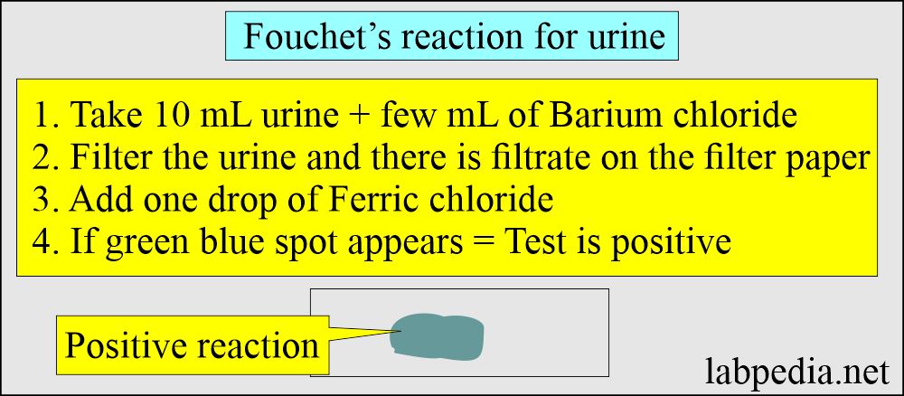 Fouchet's reaction in urine for bilirubin
