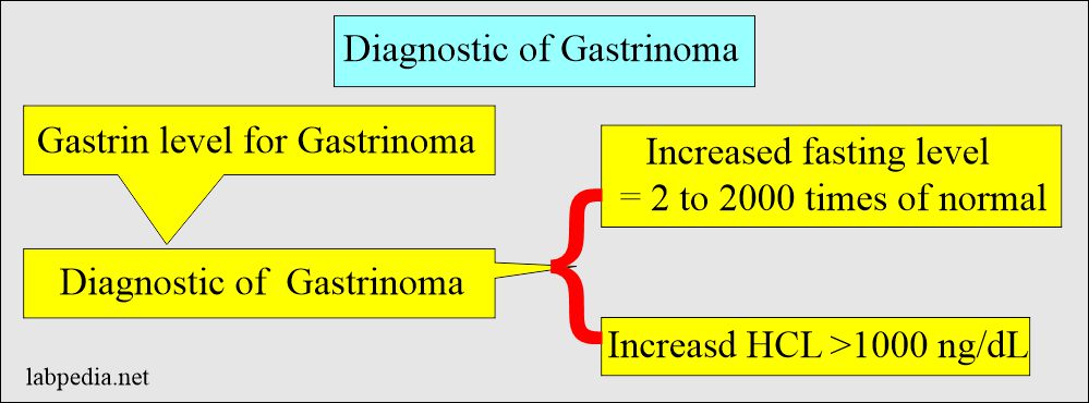 Gastrin level in gastrinoma
