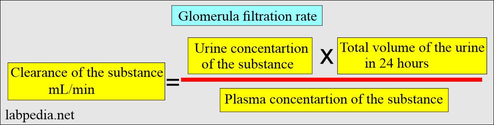 Renal Functions: Glomerular filtration rate formula