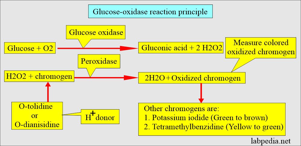 Stool examination: Glucose oxidase method for stool reducing glucose