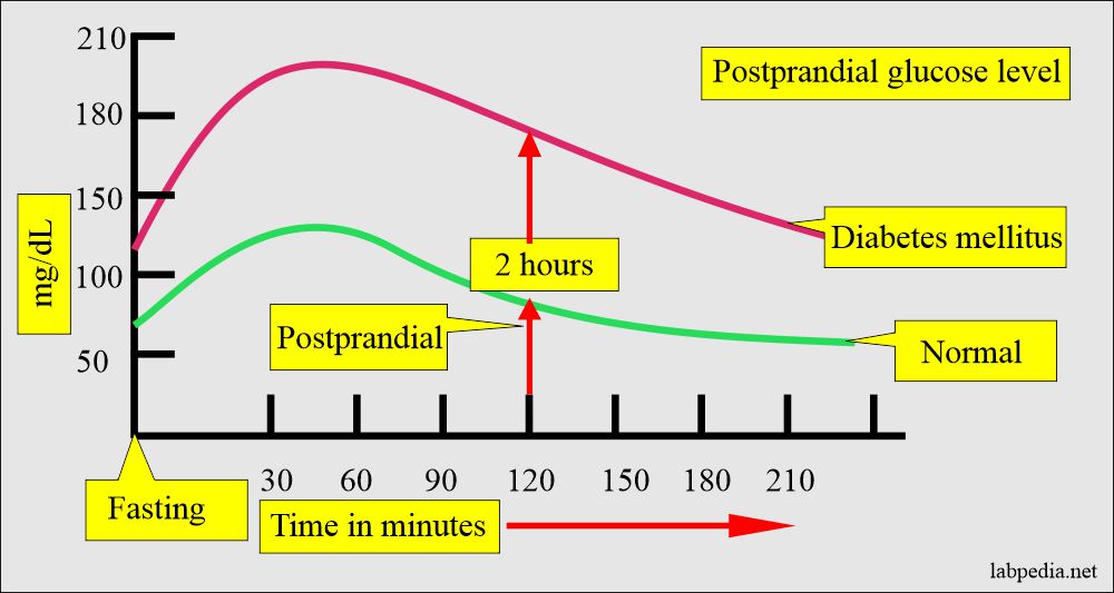 Glucose postprandial level (2 hours glucose)