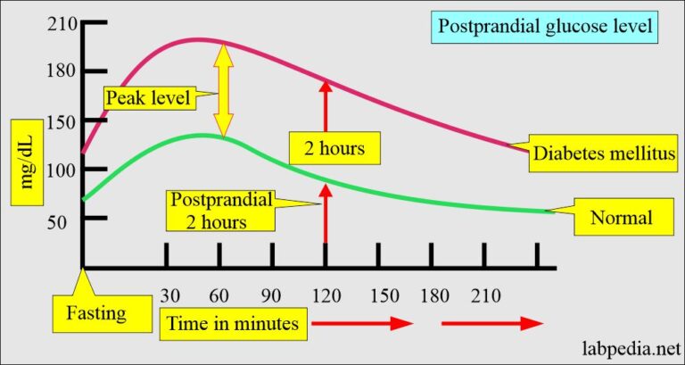 Diabetes mellitus and Glucose after 2 Hours of the Meal, Postprandial 