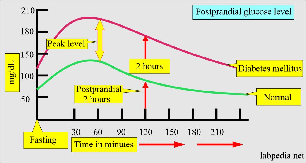 What Is A Normal Range For Fasting Blood Sugar at Nancy Kinsley blog