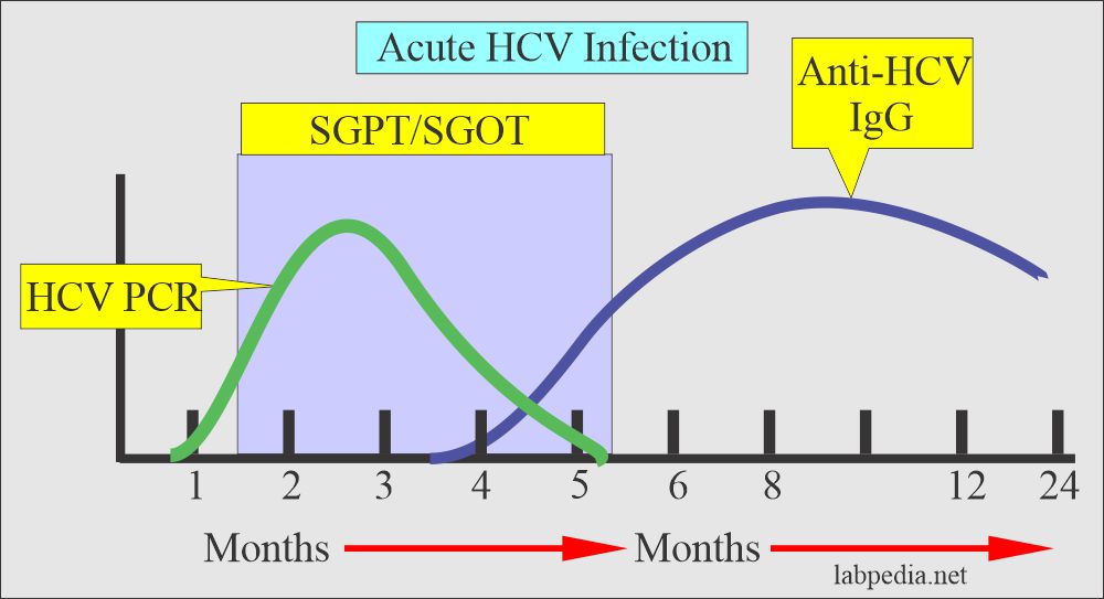 Acute hepatitis C Virus (HCV) infection 