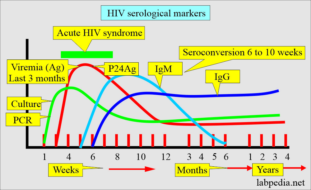 HIV (AIDS) serological markers