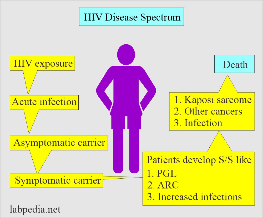 HIV (AIDS) spectrum