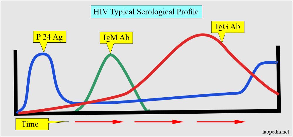 HIV serological profile