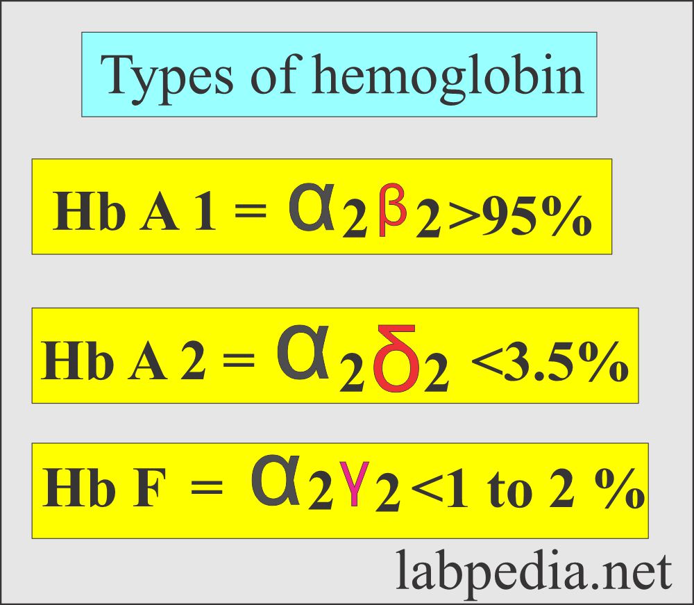 Hemoglobin types