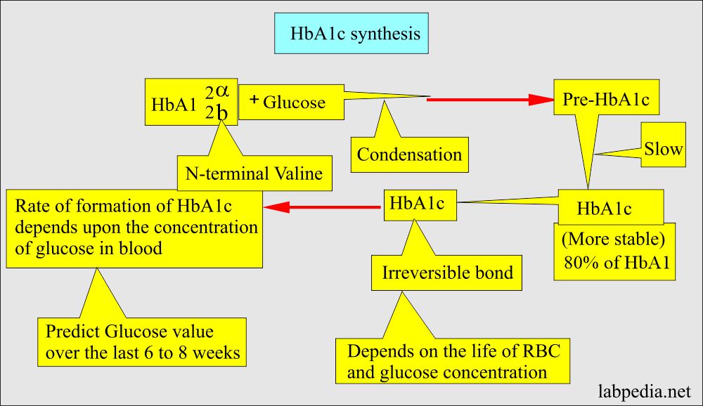 HbA1c synthesis