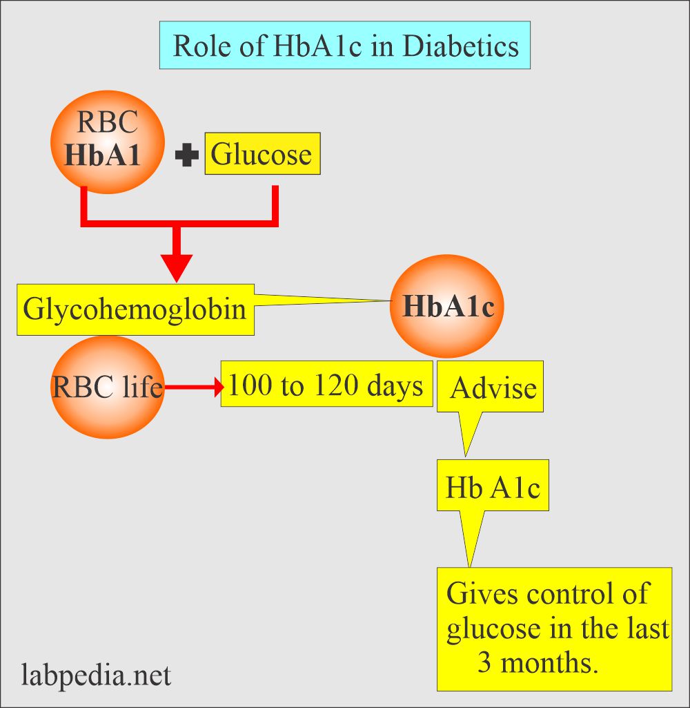 Role of HbA1c in Diabetics