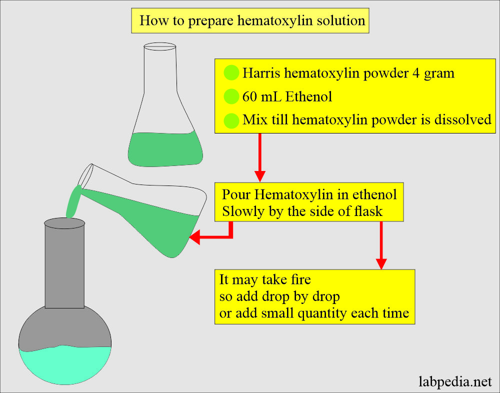Hematoxylin solution preparation