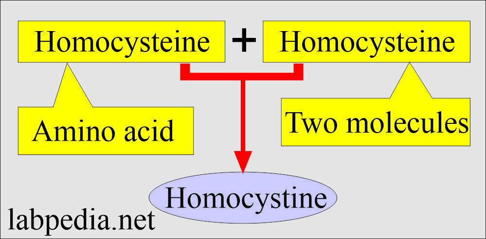 Homocystine formula
