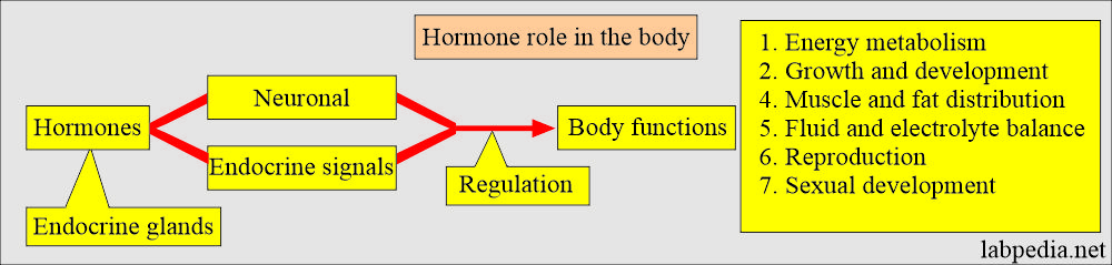 Hormones and their mode of action