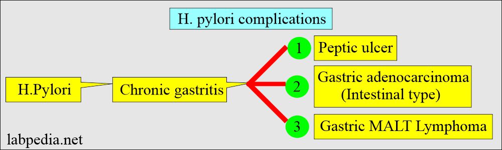 H. pylori complications