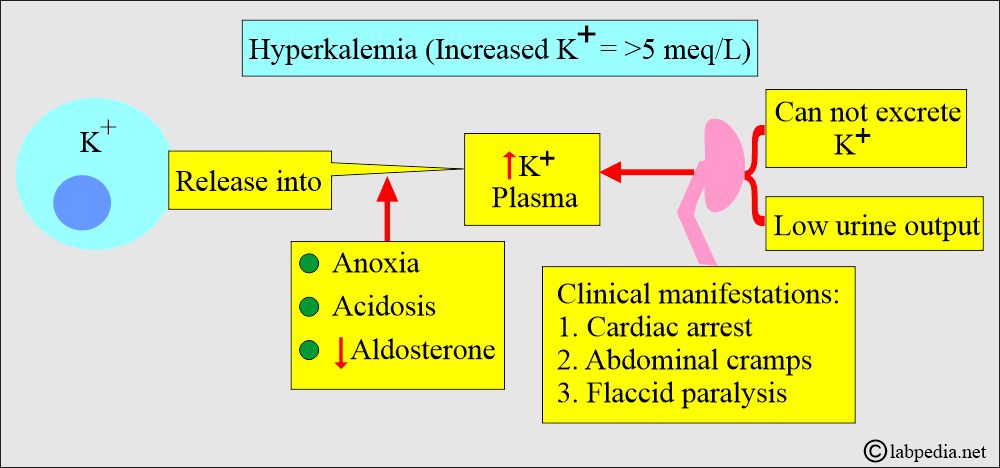 Mechanism of Hyperkalemia Mechanism of Hyperkalemia