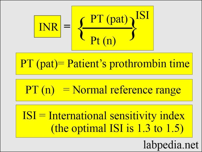 Coagulation:- part 5 - INR (International Normalized Ratio), PT and PTT ...