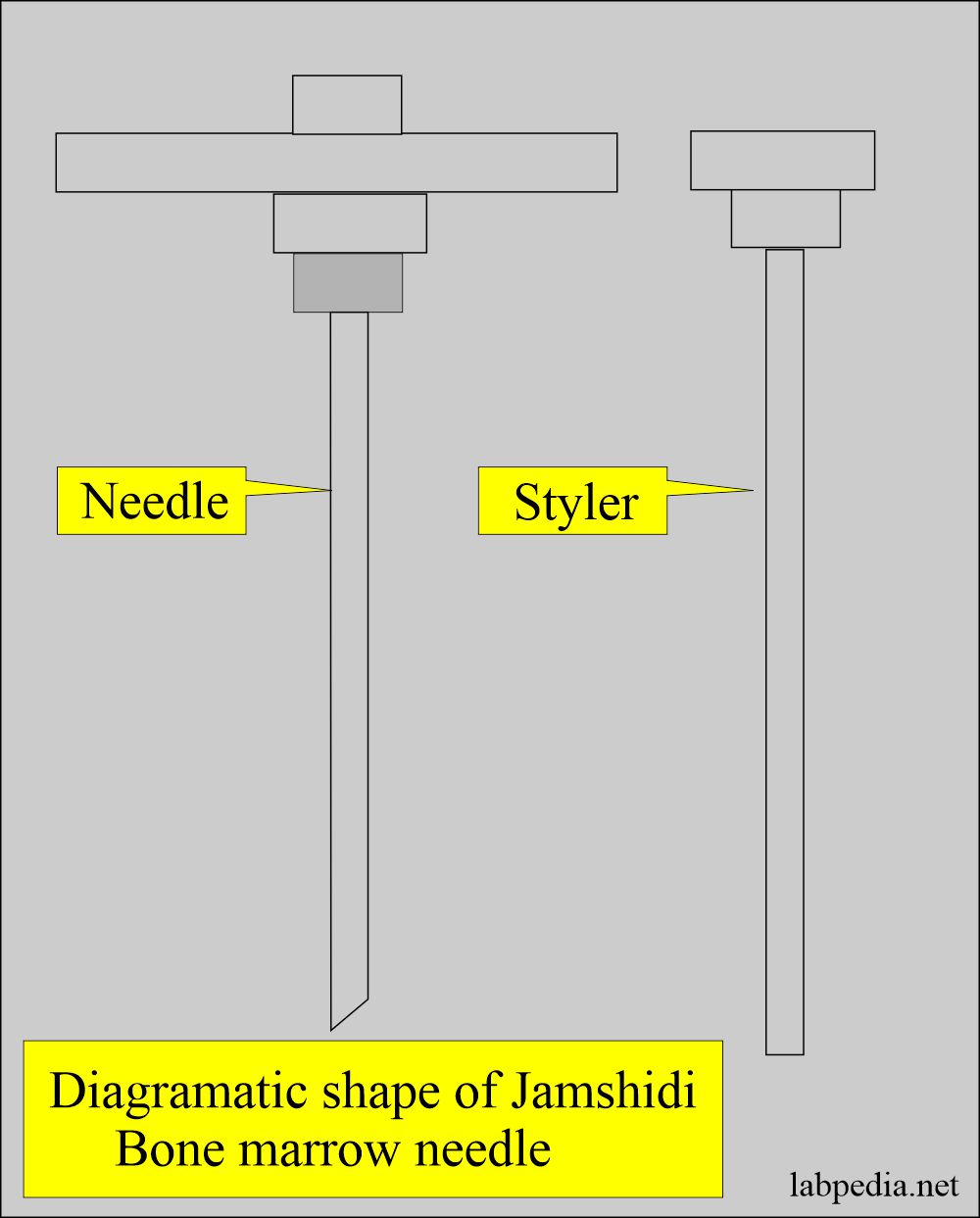 Jamshidi needle