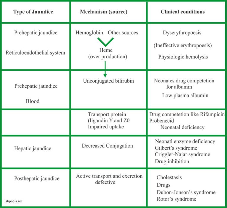 Bilirubin:- Part 1 - Total Bilirubin, Direct and Indirect Bilirubin ...