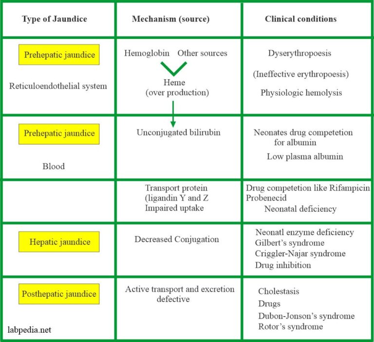 Bilirubin Part 1 Total Bilirubin (Direct and Indirect Bilirubin), Classification of Jaundice