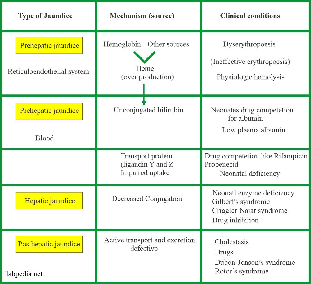 Jaundice etiological classification