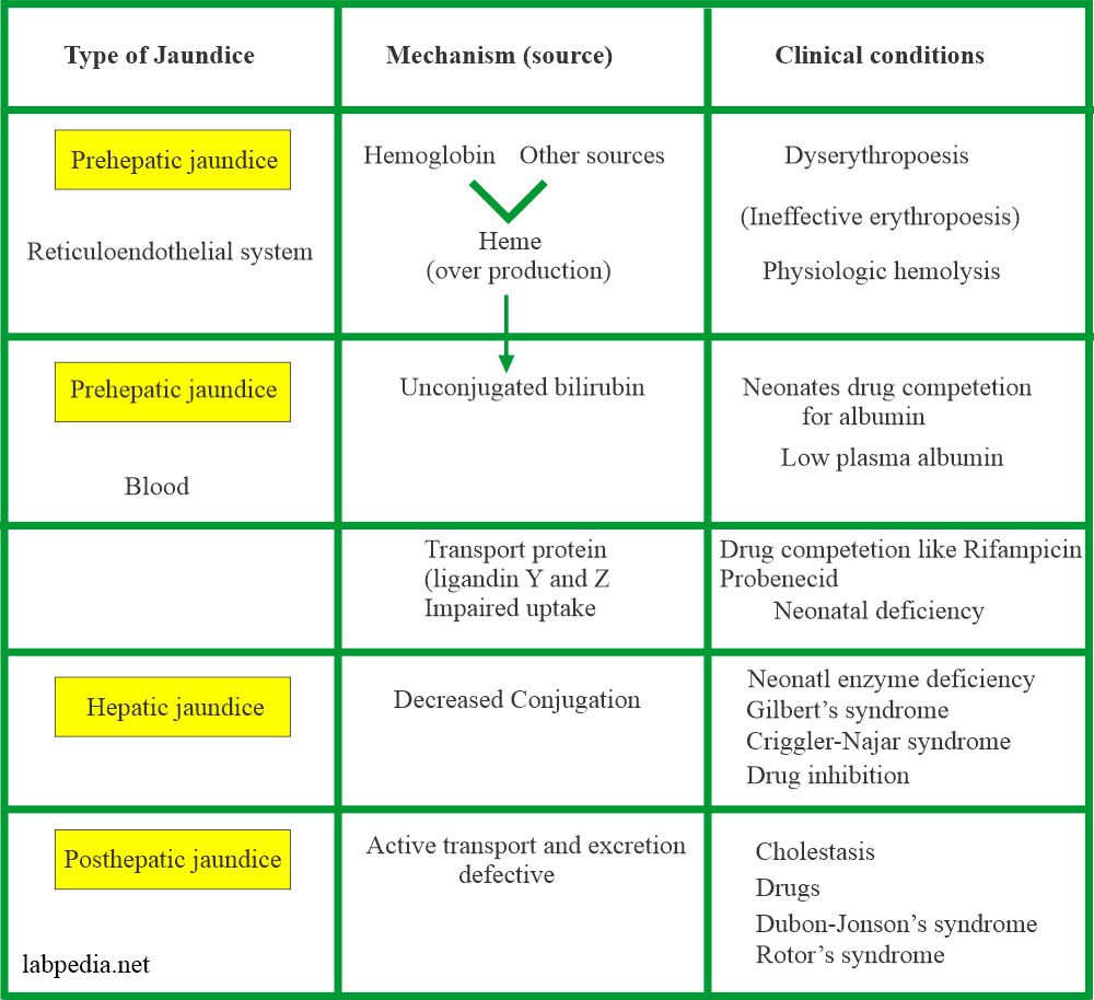 bilirubin-levels-chart-normal-low-high-bilirubin-levels-explained-hot