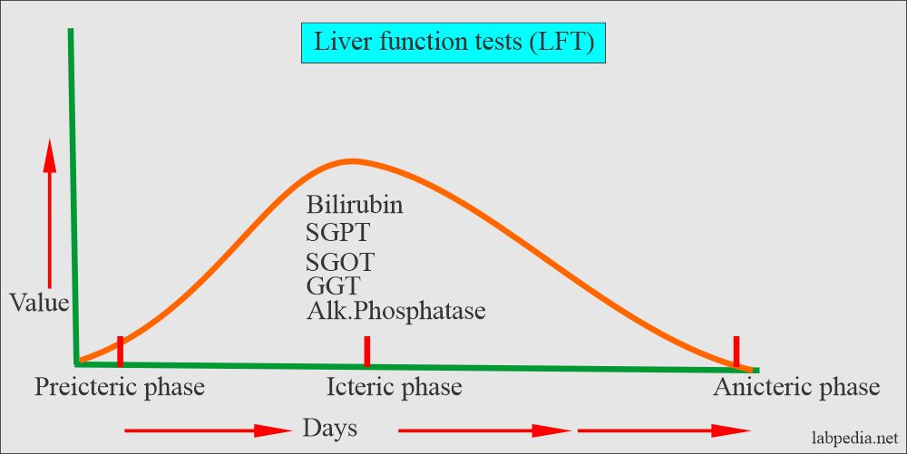 Liver Function Tests:- Part 1 –  Bilirubin Normal values, Jaundice Classification
