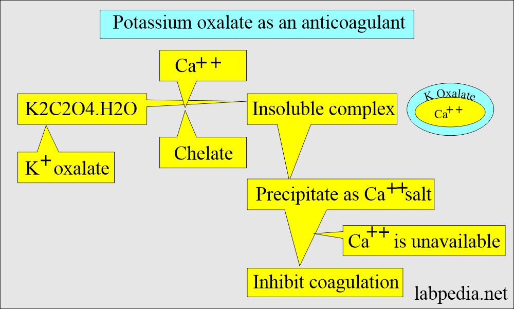Potassium oxalate as an anticoagulant