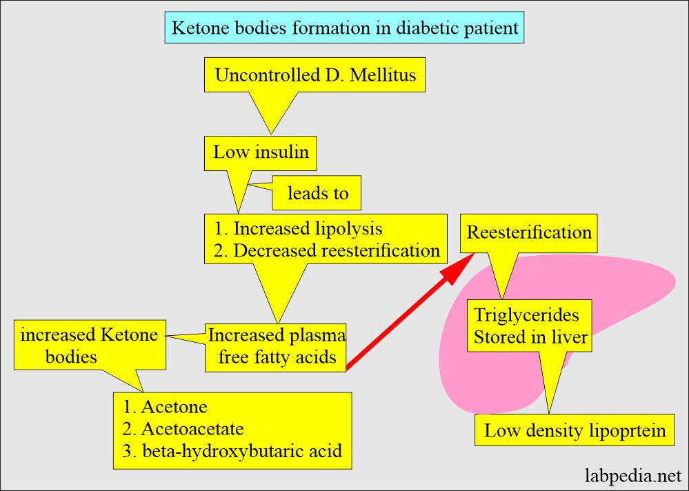 Ketone bodies in diabetic patients