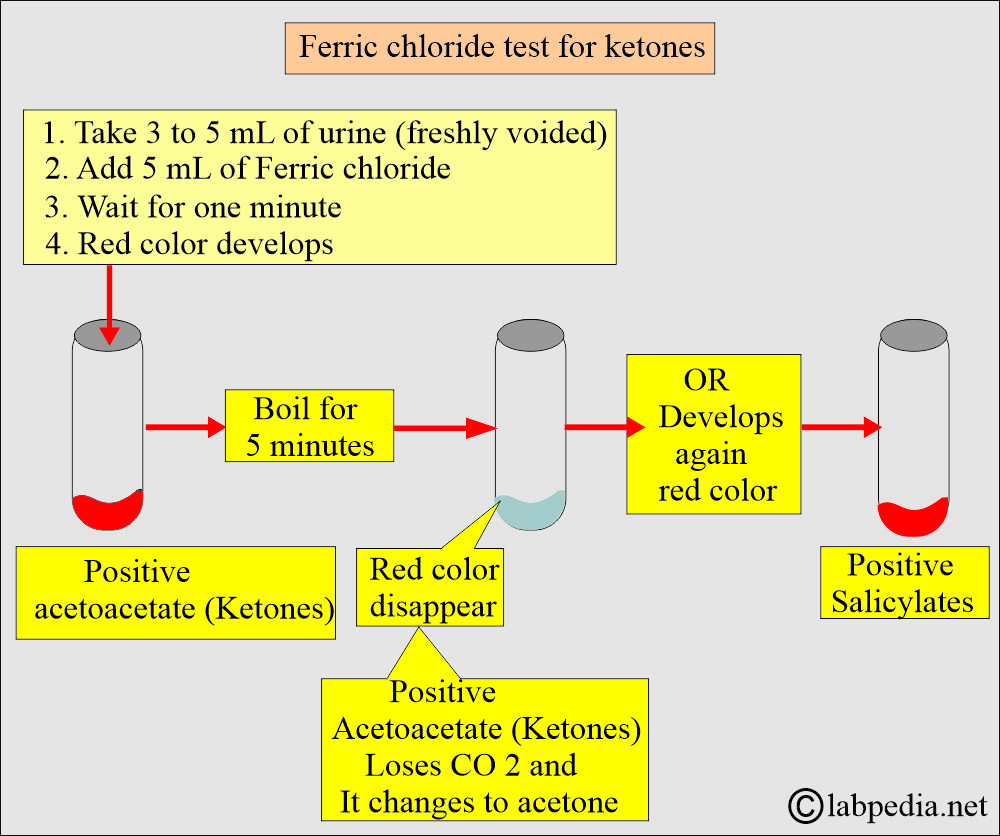 Ketones ferric chloride test Ketones ferric chloride test