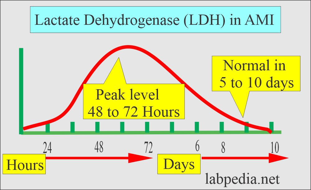 Lactate dehydrogenase (LDH) enzyme and AMI
