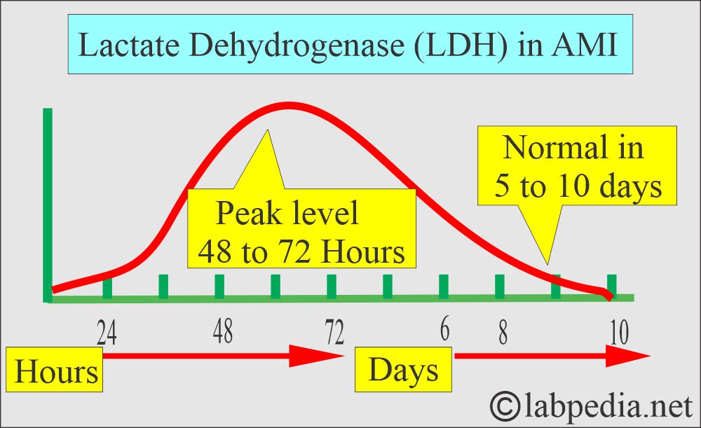 LDH levels in AMI LDH levels in AMI