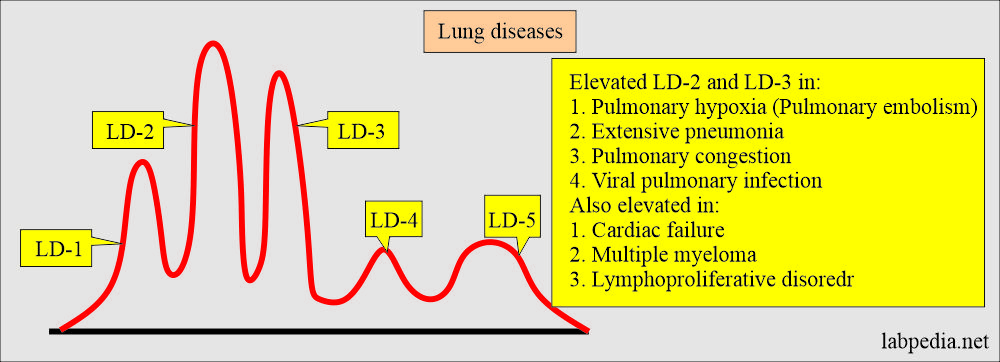 LDH in lung diseases