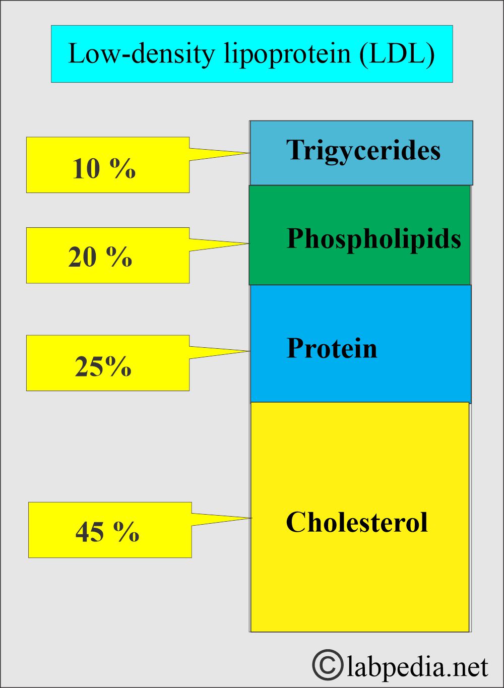 LDL (Low density lipoprotein)
