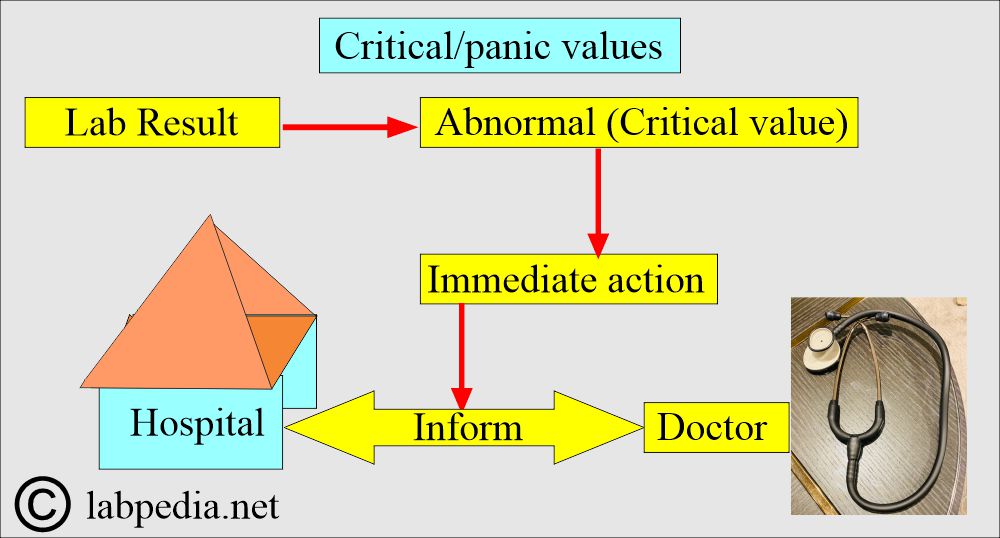 Laboratory critical value and action