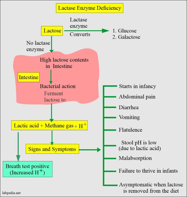 Stool Examination Part 4 Reducing substances, Breath Test, and