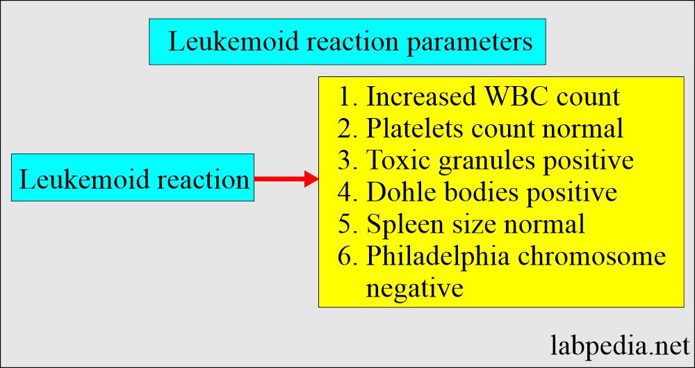 Leukemoid Reaction and Diagnosis (D/D from Chronic Myelocytic leukemia)