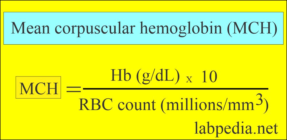 Mean corpuscular hemoglobin (MCH)