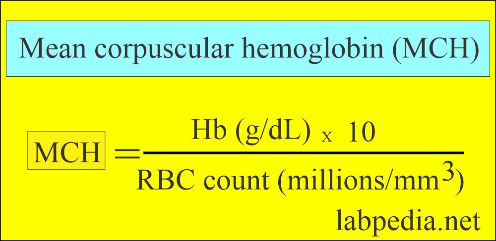 hematology-labpedia