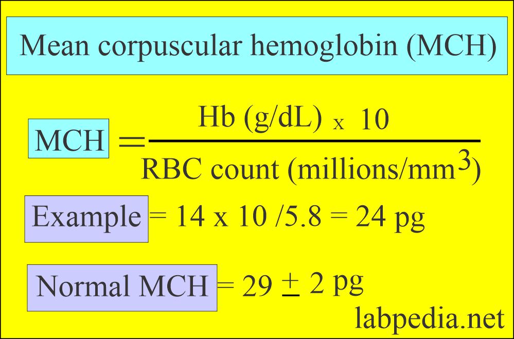 Red Blood cell Indices: MCH formula and example