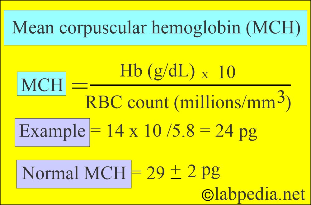 Mean corpuscular hemoglobin (MCH) formula