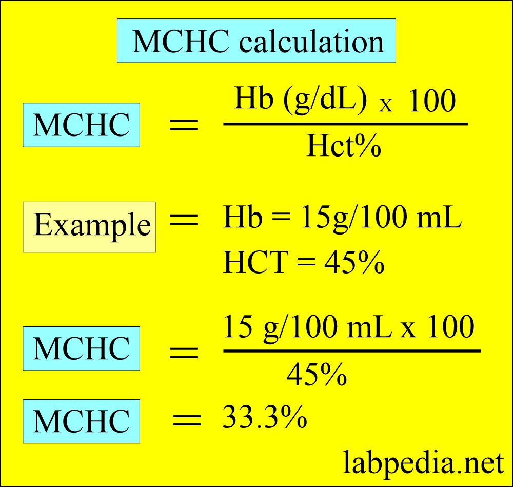 Mean Corpuscular Hemoglobin Concentration MCHC 54 OFF