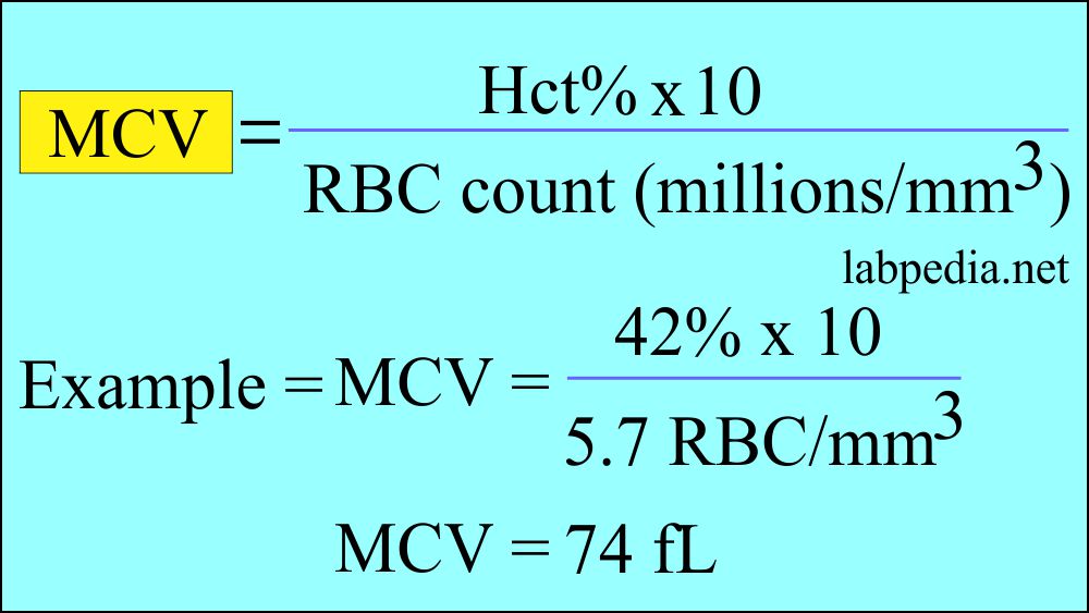 Mean Corpuscular Volume (MCV): MCV formula and calculation