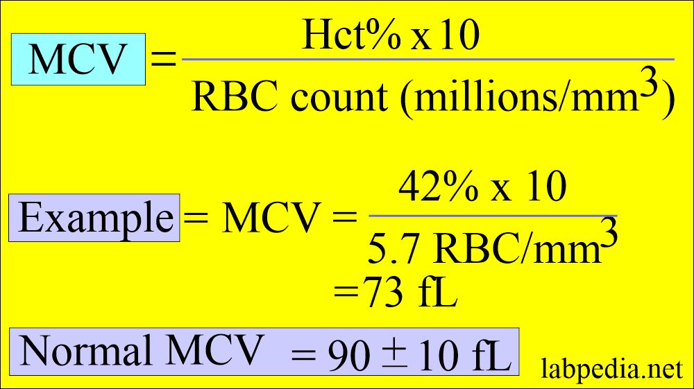 Red Blood cell Indices: MCV formula and example