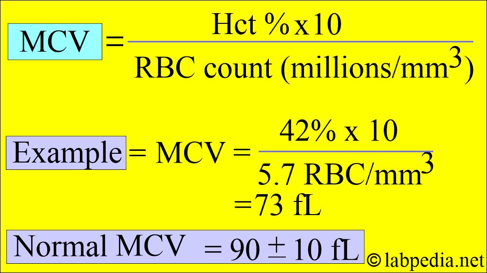 Mean corpuscular volume (MCV) calculation formula Mean corpuscular volume (MCV) calculation formula
