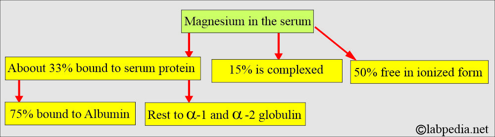 Magnesium level (Mg++): Magnesium in the serum Magnesium level (Mg++): Magnesium in the serum