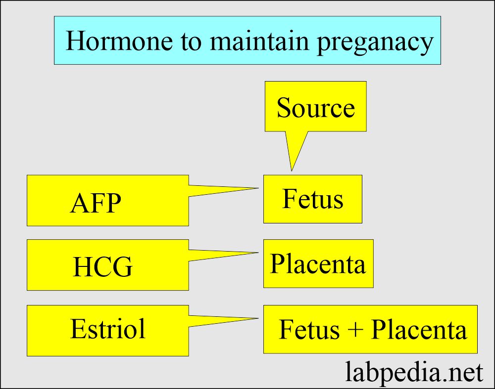 Maternal screening hormone