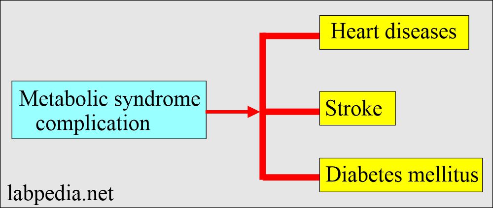 Metabolic syndrome complications