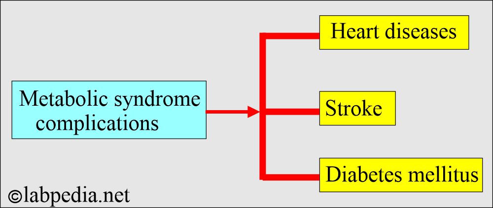 Metabolic syndrome outcome and complications Metabolic syndrome outcome and complications