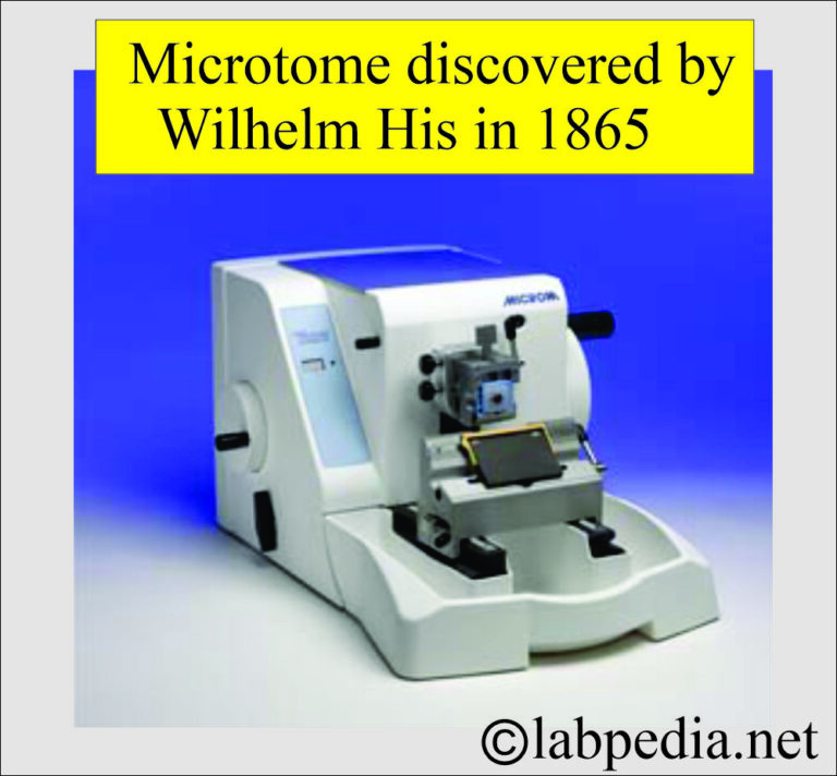 History of Hematology and Surgical Pathology - Labpedia.net